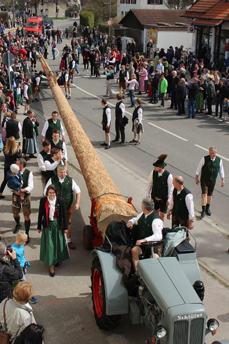 Maibaumeinholen