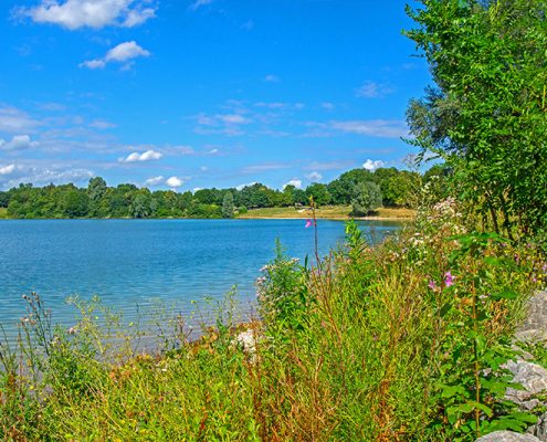 Fernsehbeitrag zum Heimstettener See