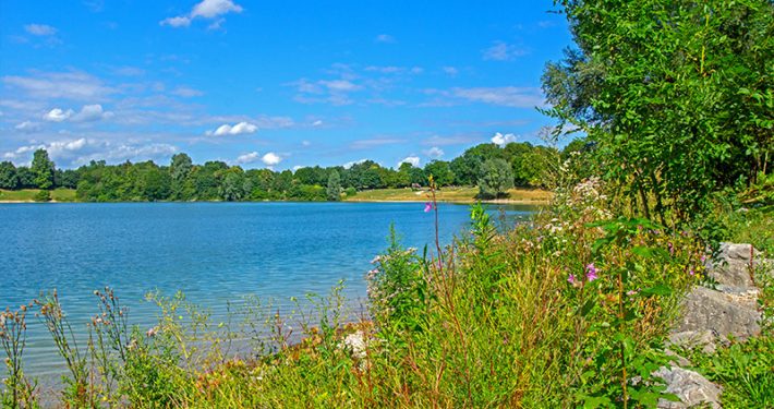 Fernsehbeitrag zum Heimstettener See