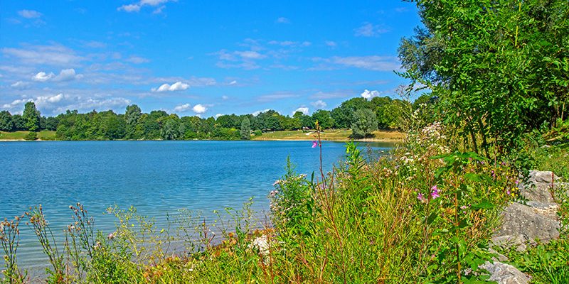 Fernsehbeitrag zum Heimstettener See