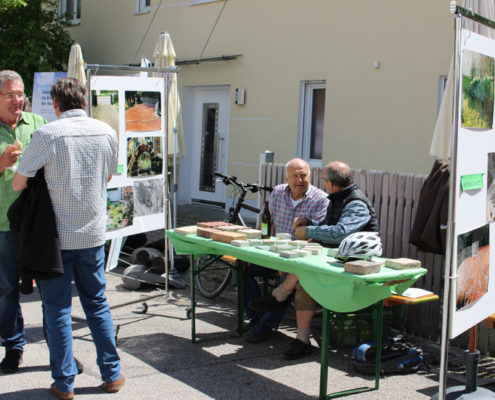 Erster Kirchheimer Gartentag 2017. Foto: Katharina Ruf