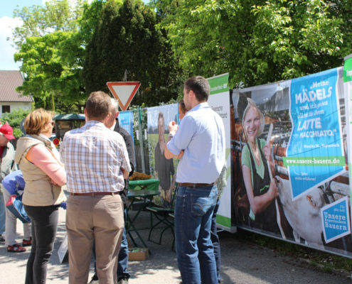 Erster Kirchheimer Gartentag 2017. Foto: Katharina Ruf