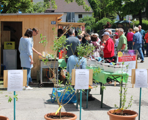 Erster Kirchheimer Gartentag 2017. Foto: Katharina Ruf