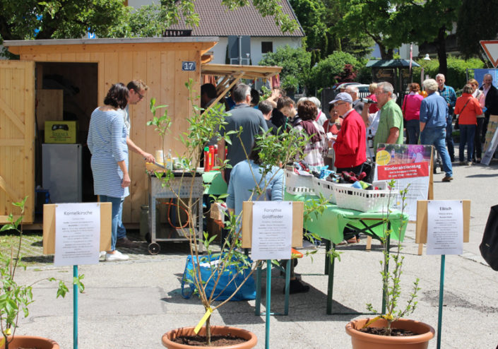 Erster Kirchheimer Gartentag 2017. Foto: Katharina Ruf