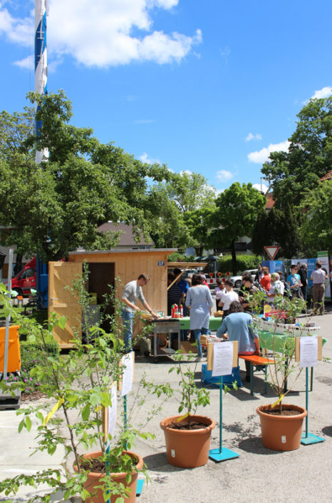 Erster Kirchheimer Gartentag 2017. Foto: Katharina Ruf