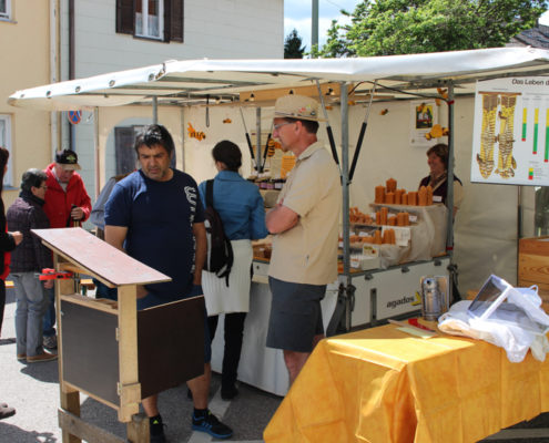 Erster Kirchheimer Gartentag 2017. Foto: Katharina Ruf