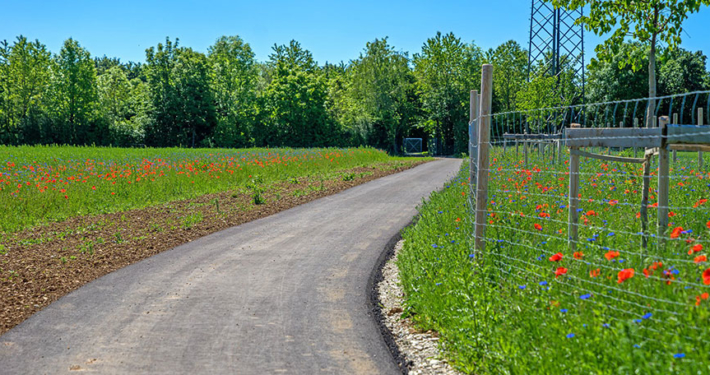 Geh- und Radweg zum Heimstettener Friedhof