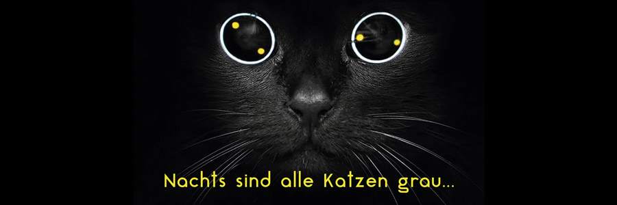 Aktionsbild der AGFK zum Thema Fahrradbeleuchtung Aktionsbild der AGFK zum Thema Fahrradbeleuchtung