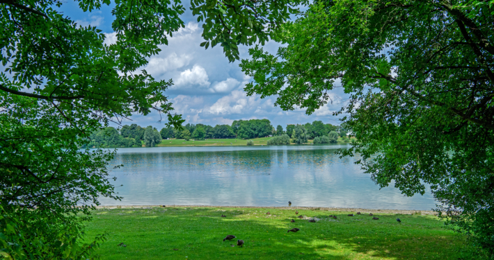 Idylle am Heimstettner See: Unser attraktives Naherholungsgebiet lädt im Sommer zum Baden ein.