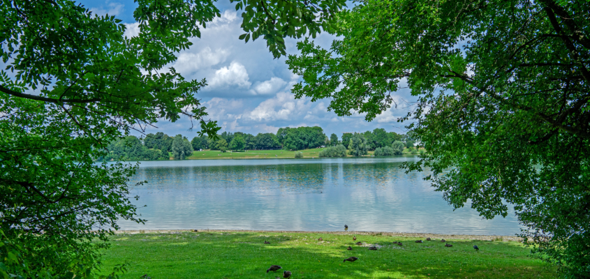 Idylle am Heimstettner See: Unser attraktives Naherholungsgebiet lädt im Sommer zum Baden ein.