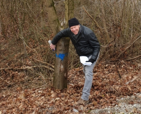 Stephan Keck, Aufsichtsratsvorsitzender der Landesgartenschau GmbH markierte mit blauer Farbe erste Bäume, die erhalten bleiben können.