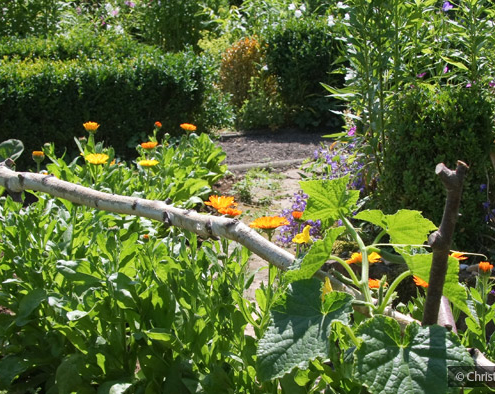 Foto: Naturnaher Garten